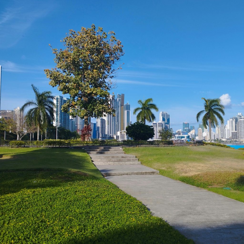 View of a modern city skyline with lush park and pathways, capturing urban nature balance.